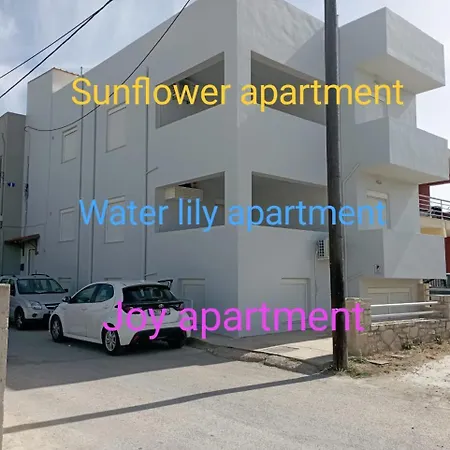 Sunflower By The Sea
